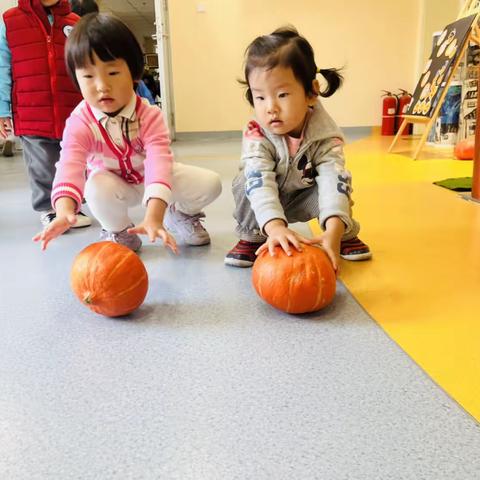 小豆豆们的万圣节派对