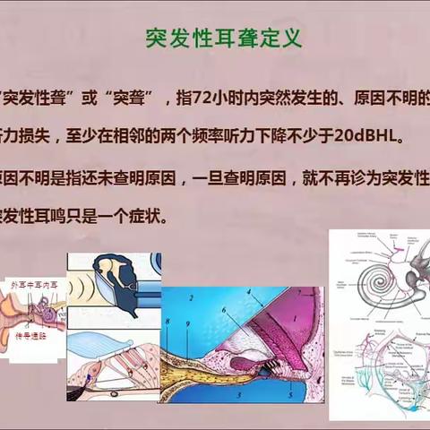 “科学爱耳护耳，实现主动健康”广元市中心医院耳鼻咽喉头颈外科”爱耳日”义诊活动