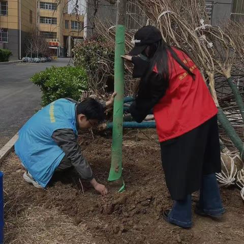 播种爱与希望  共筑美好家园—灞桥区十里铺街道沁蓝社区植树活动