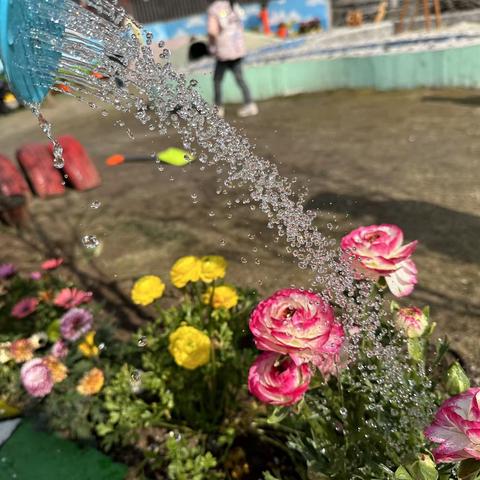 3.12植树节】智慧树幼儿园植树节，和孩子一起迎接春天！