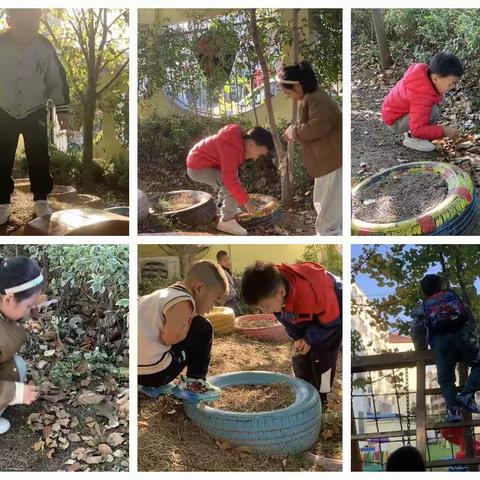 相遇秋天—淮阴实验小学幼儿园西坝分园   大一班