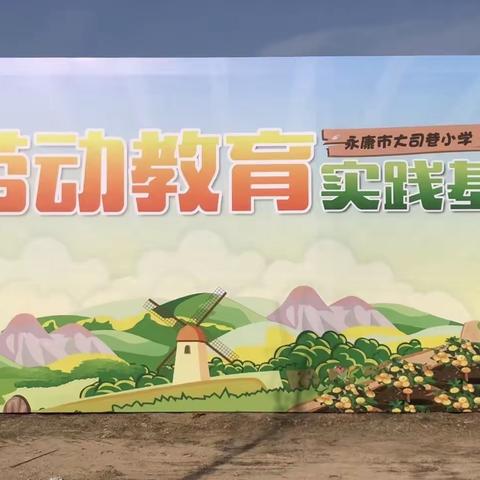 “我的地盘  我做主”——记大司巷小学三（9）中队劳动实践活动