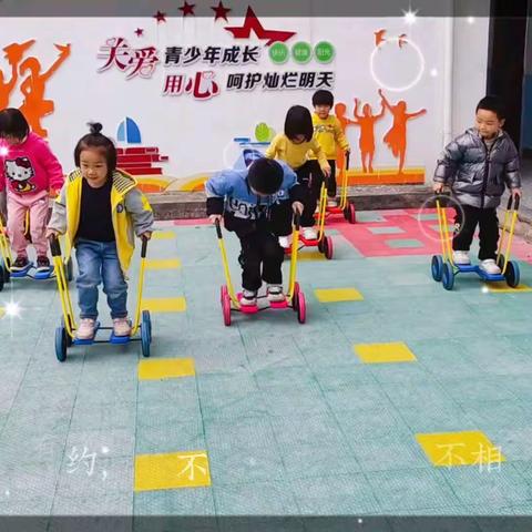 大桥镇中心小学附属幼儿园中班第十一周精彩回顾