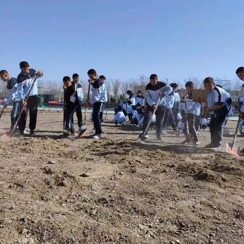 把劳动的种子深埋在孩子心中——记博乐市第九中学教育集团（二中校区）开展种植项目劳动实践活动