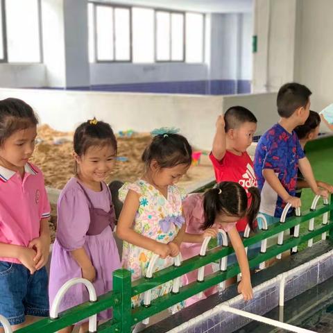 中一班第八周🌈精彩回顾✨