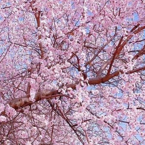 中一班🌈☀️第十周快乐小时光⛅️⛈