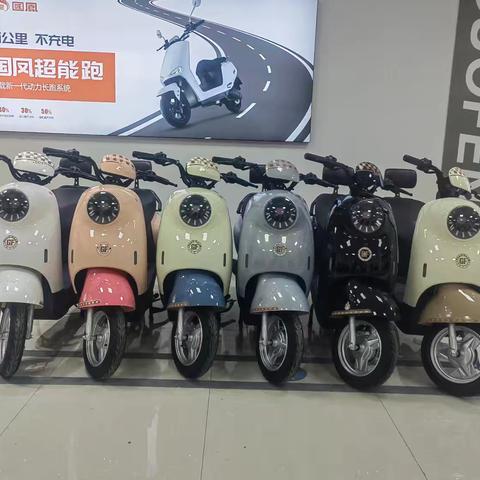 国凤小金龟-靠背