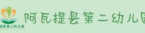 童心点亮世界，科学伴我成长——阿瓦提县第二幼儿园科学小实验（第四期）