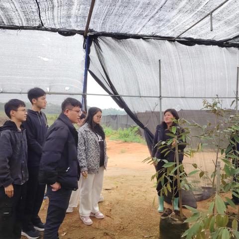 学有所思 研有所获│东成镇产业项目调研之南泰沉香、榴莲种植基地