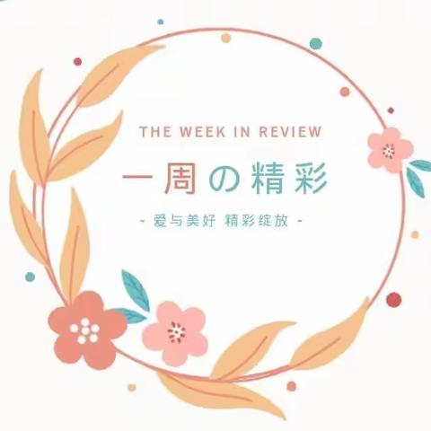 【智爱幼儿🍁秋之风班🍁】一周精彩回顾🎬