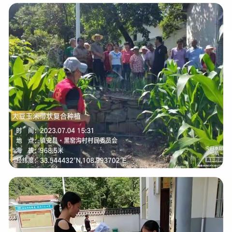 城关小学二四班汤䶮堃同学的第三课堂开展情况