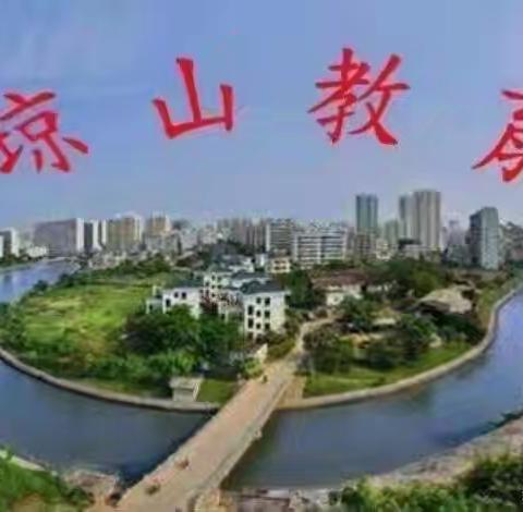 海口市琼山区体育与健康学科小学教研组长2024—2025学年第二学期工作总结培训活动圆满举行