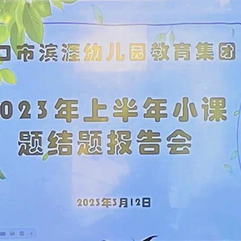 乘结题之风，促教研成长——海口市滨涯幼儿园教育集团小课题结题报告会