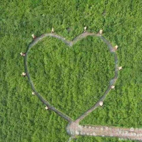 “有淄有爱 艾粽相伴”西苑社区“我们的节日·端午节”主题活动