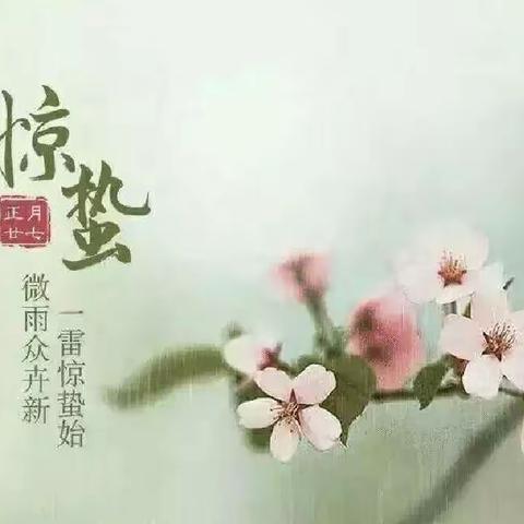 “虫儿醒  闹惊蛰”——唐店中心幼儿园中一班惊蛰节气主题活动
