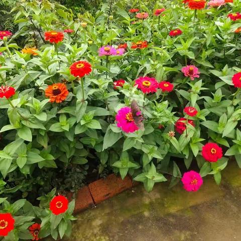 蒙恩村美丽乡村建设捐资倡议书