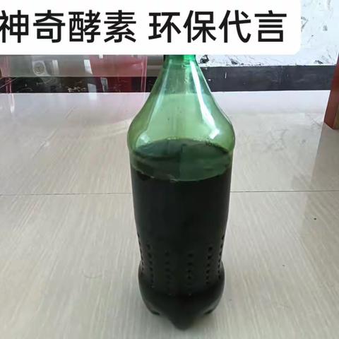 学墙完小三七班酵素之花处处开放