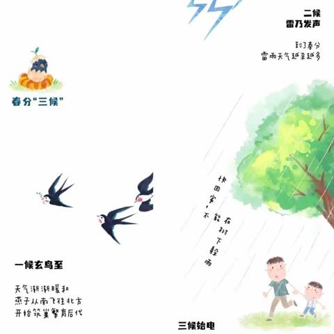 2023年3月21日菲斯特幼儿园小三班《春分》节气主题活动