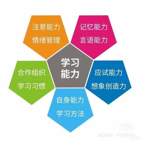 学习力 游戏活动（十）