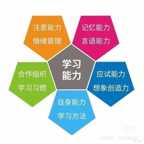 学习力 游戏活动（十三）