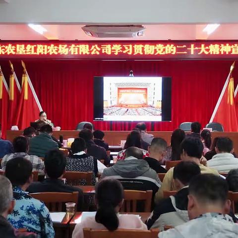 红阳农场有限公司开展学习贯彻党的二十大精神宣讲会