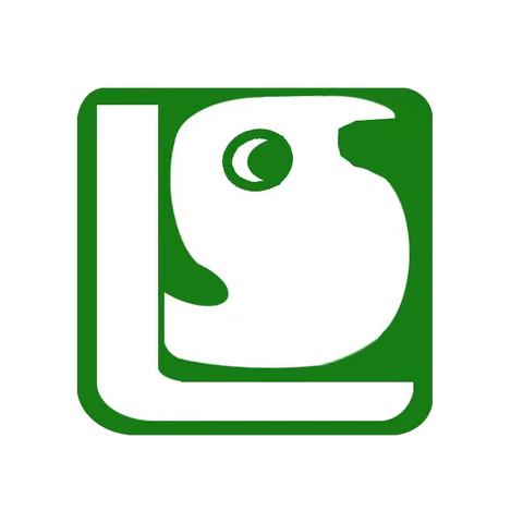 中篇小说 《江城的风》