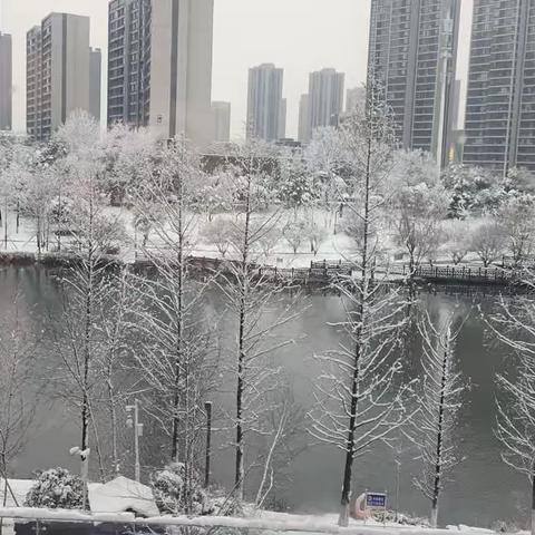 暴雪来袭加强防范——中盈广场扫雪行动报告（副本）