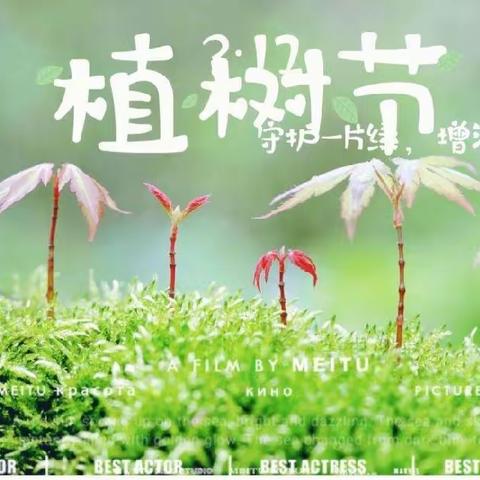 “相逢植树节，爱在春天里”京师幼学镇江沃得幼儿园植树节活动