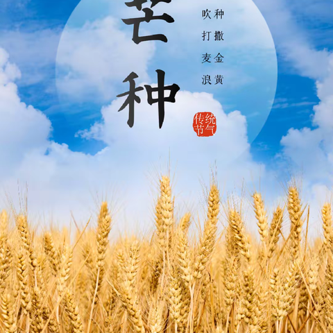 ⛅️风吹麦浪🌾✨芒种希望✨——小牛津东部风景幼儿园大一班系列活动