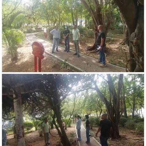 羊栏村委会2023年3月17日工作小结