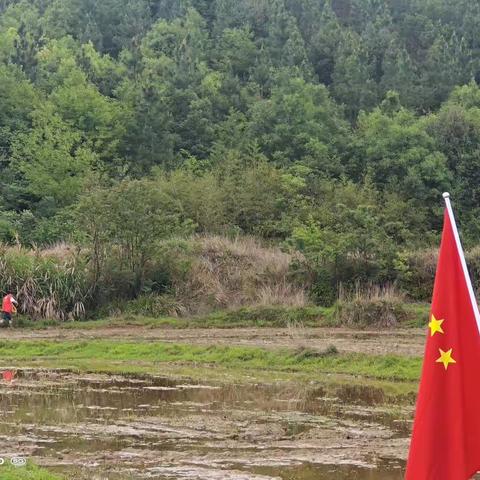 一年之计在于春