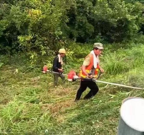 田畈街镇城乡环境综合整治周报