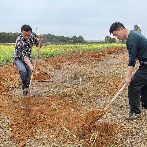 绿色田园劳动合作社2024 年 3 月 30 日（第三期）﻿活动计划