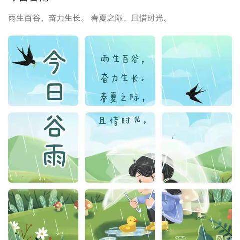 谷雨节气  温润而至——启航幼儿园谷雨活动