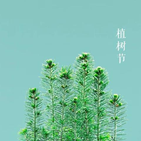 相逢植树节，爱在春天里——封丘县陈固镇中心小学植树节活动