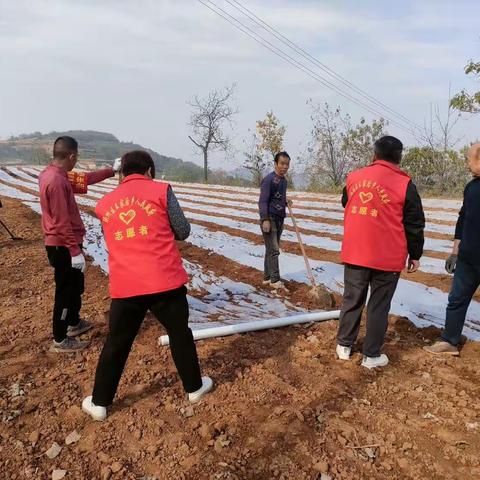 胡果村“红袖章”志愿者在保平安促稳定