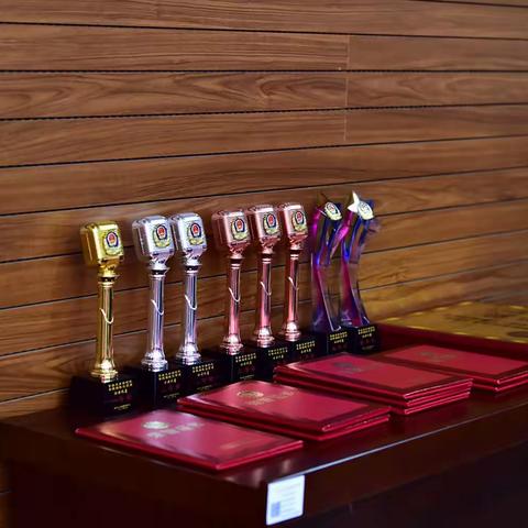 喜讯！八所边检站刘伟在“擎旗逐梦新时代 奋楫扬帆自贸港”主题演讲比赛中获得冠军