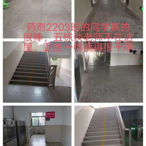 药剂2203班社会实践周总结