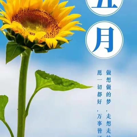 东方格林幼儿园中一班5月份教学计划