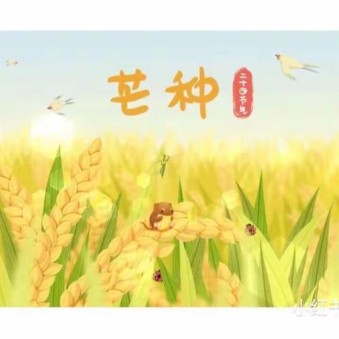 芒种芒种🌾🌾幸福播种 —— 中心幼儿园小二班芒种美篇