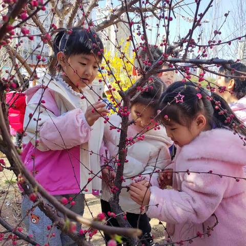 中二班——我和春天有个约会🌷