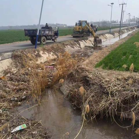 严格落实河长制，道东堡镇在行动