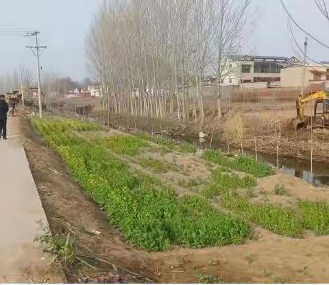 成安镇扎实开展河湖环境整治百日攻坚行动