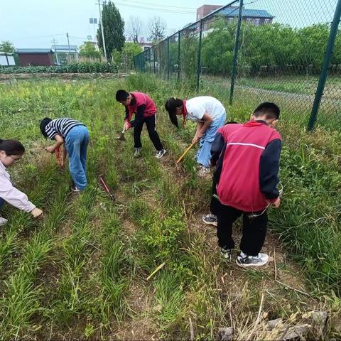 【全环境立德树人】劳动砺心志 实践促成长——朱集镇王智吴小学生劳动实践活动掠影