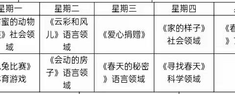 木多多幼儿园中一班3.17精彩瞬间