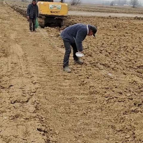 2022年小溪河高标准农田建设项目