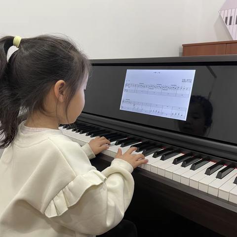 《kukey森林音乐之旅》