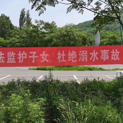 远离水域，让安全之花常开——周至县集贤镇殿镇小学