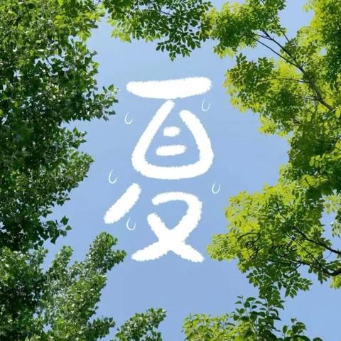 【留“夏”回忆，时光有你】——商店镇中心幼儿园园本课程精彩回顾