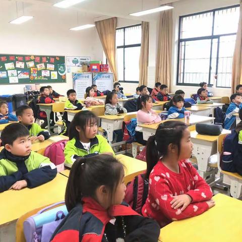 天心区梨塘小学二年级科学实验第四次课反馈